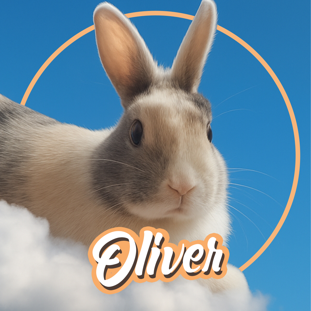 Oliver the Bunny