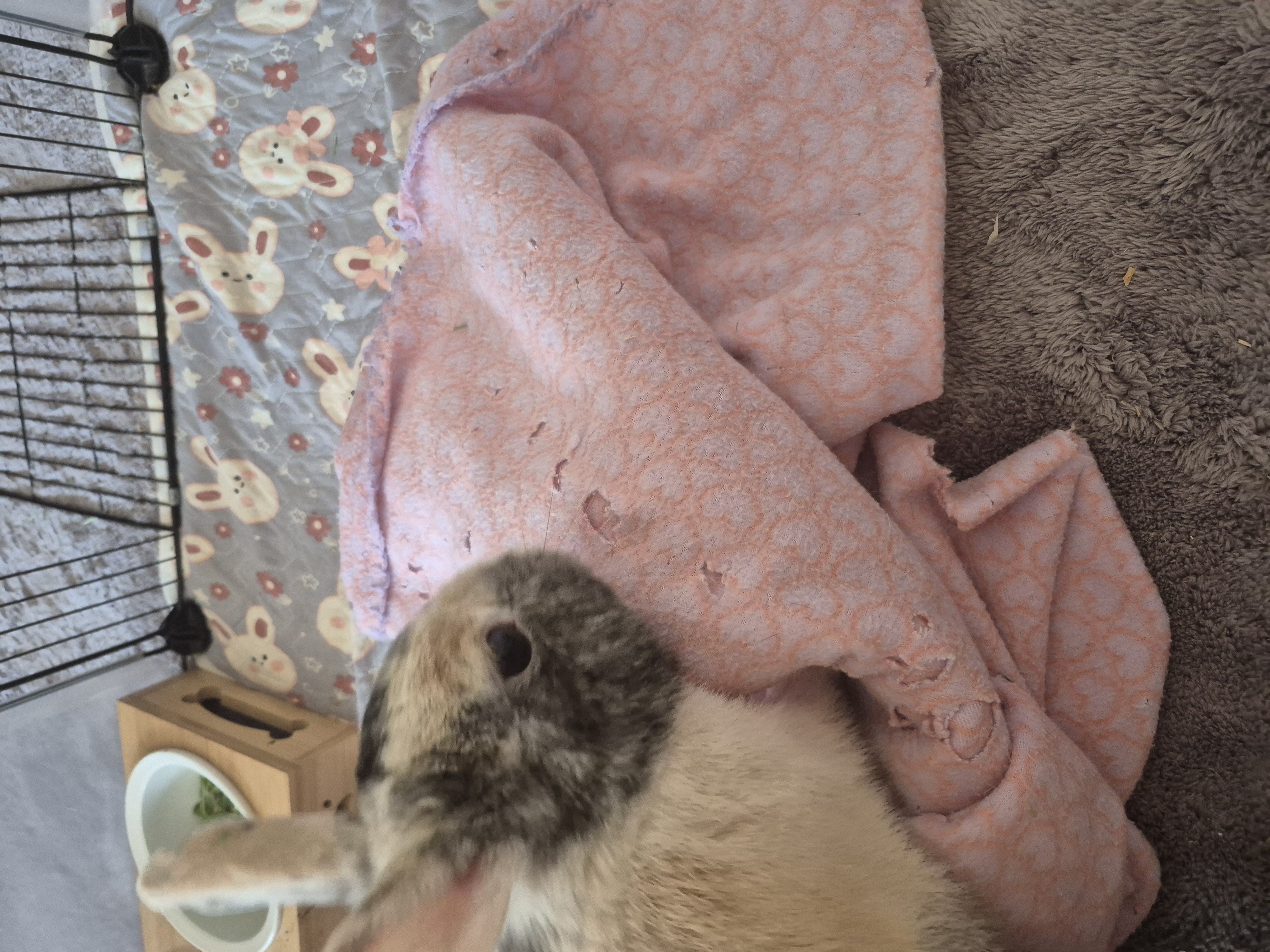 Oliver sleeping